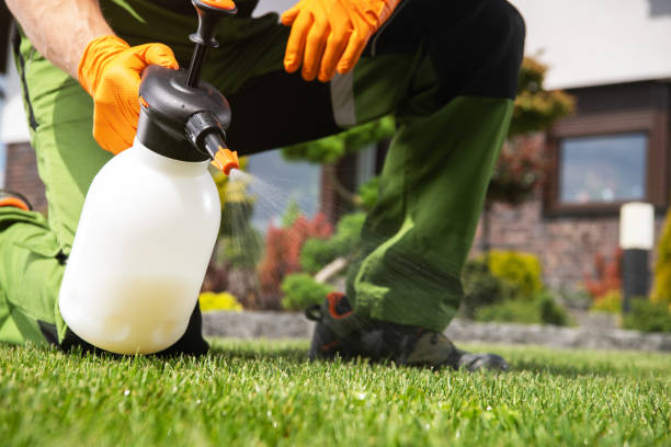 Best Emergency Pest Control  in North Windham, ME