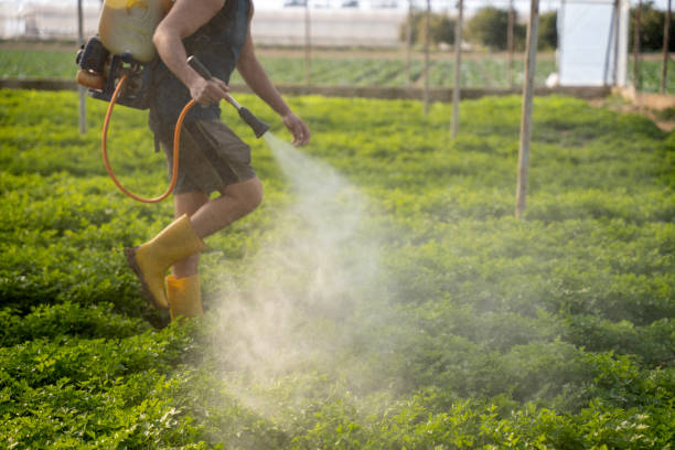 Best Affordable Pest Control Services  in North Windham, ME