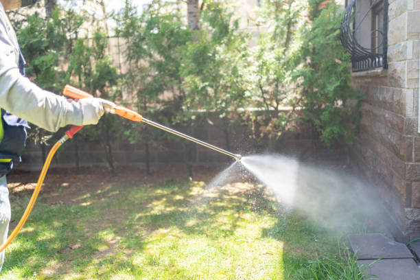 Best Pest Prevention Services  in North Windham, ME