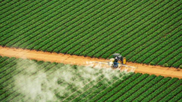Best Mosquito Control Services  in North Windham, ME